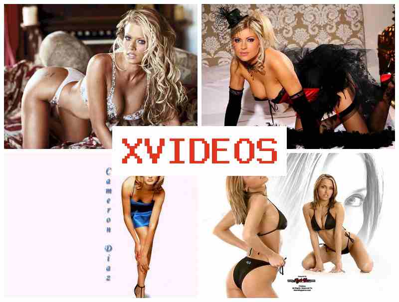 XVDEOS 🔔 HD White Sex